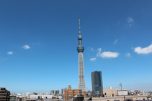 スカイツリーを一望できる絶好のスポット スカイツリーを一望できる絶好のスポット